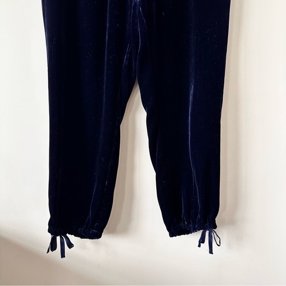JOIE-DYRE Velvet Drawstring Jogger Pants (Size:Large) - Picture 9 of 11